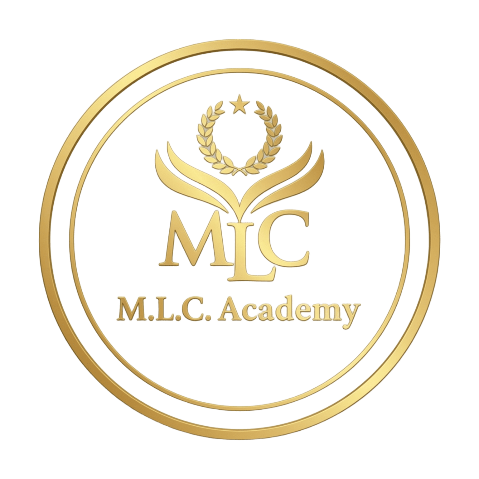 M.L.C Academy